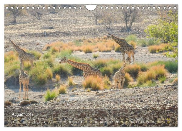 Produktbild: Namibia - African Beauty (Wall Calendar 2026 DIN A4 landscape), CALVENDO 12 Month Wall Calendar