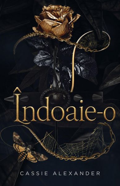 Produktbild: &Icirc;ndoaie-o