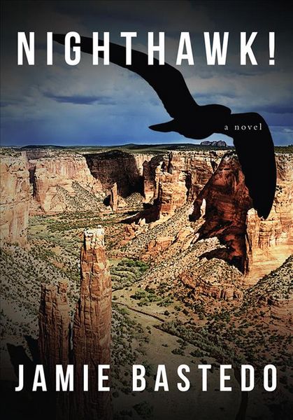 Produktbild: Nighthawk!