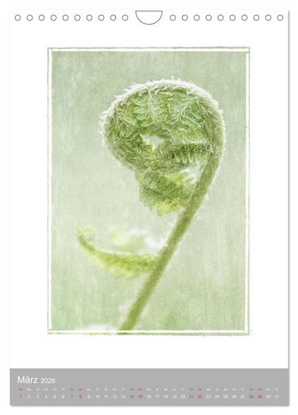 Produktbild: Kunstwerk Natur (Wandkalender 2026 DIN A4 hoch), CALVENDO Monatskalender