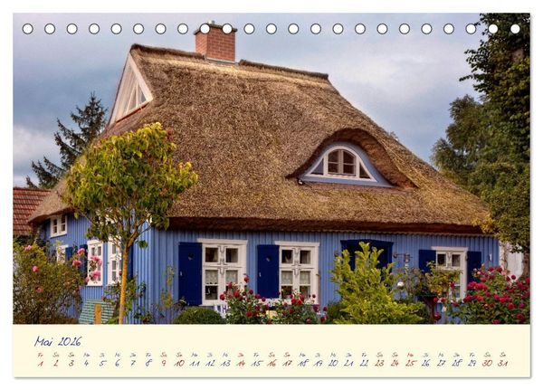 Produktbild: OSTSEEGL&Uuml;CK - Gl&uuml;cksmomente auf dem Dar&szlig; (Tischkalender 2026 DIN A5 quer), CALVENDO Monatskalender