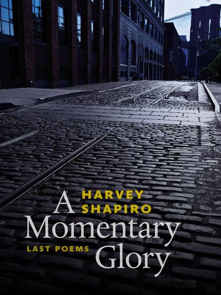 Produktbild: A Momentary Glory