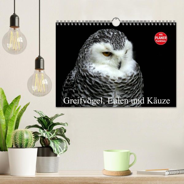 Produktbild: Greifv&ouml;gel, Eulen und K&auml;uze (Wandkalender 2026 DIN A4 quer), CALVENDO Monatskalender