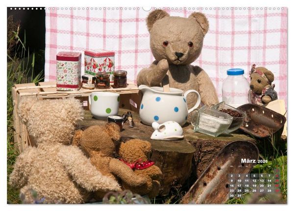 Produktbild: Geliebte B&auml;ren - Teddys (hochwertiger Premium Wandkalender 2026 DIN A2 quer), Kunstdruck in Hochglanz