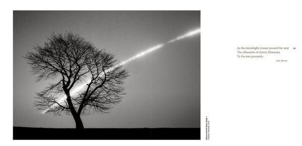 Produktbild: Forms of Japan: Michael Kenna (deutsche Ausgabe)