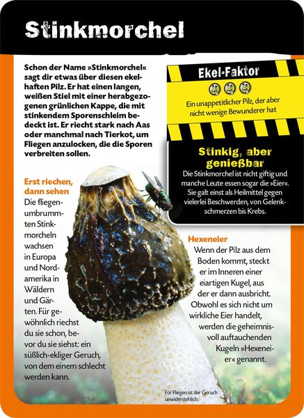 Produktbild: Die 100 ekligsten Dinge der Welt