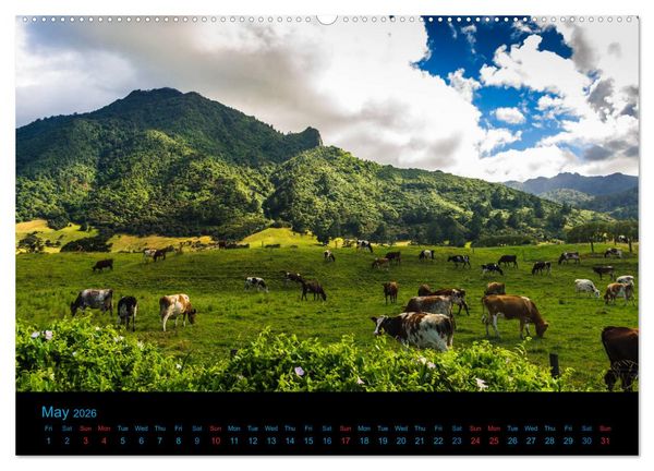 Produktbild: New Zealand - A bicycle adventure (High Quality Premium Wall Calendar 2026 DIN A2 landscape),CALVENDO 12 Month Wall Calendar
