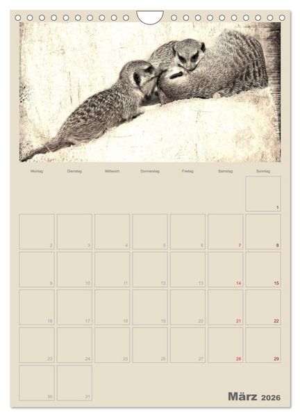 Produktbild: Lustige Erdm&auml;nnchen (Wandkalender 2026 DIN A4 hoch), CALVENDO Monatskalender