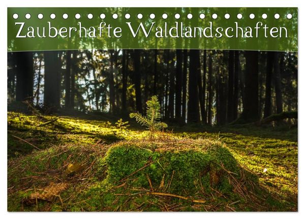 Produktbild: Zauberhafte Waldlandschaften (Tischkalender 2026 DIN A5 quer), CALVENDO Monatskalender