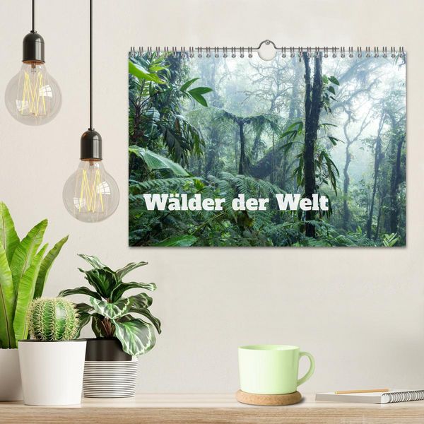 Produktbild: W&auml;lder der Welt (Wandkalender 2026 DIN A4 quer), CALVENDO Monatskalender