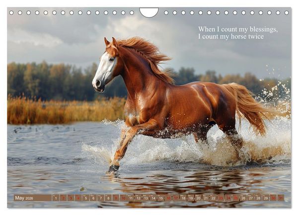 Produktbild: A Horse Makes You Complete (Wall Calendar 2026 DIN A4 landscape), CALVENDO 12 Month Wall Calendar
