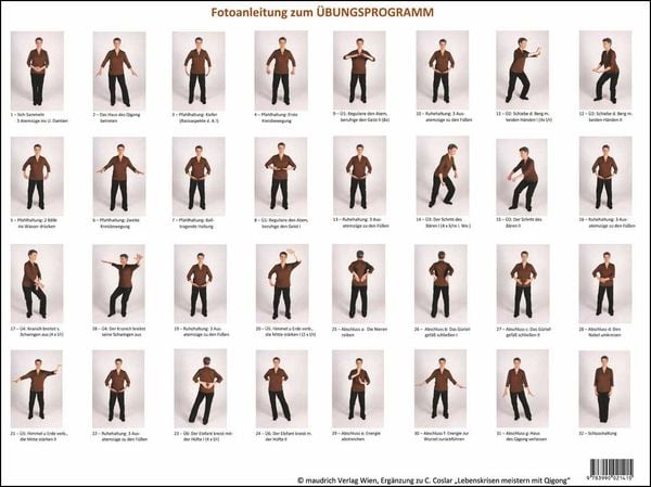 Qigong-Übungsprogramm, Gebundene Ausgabe von Cora Goslar, Facultas / maudrich, 978-3-99002-141-5