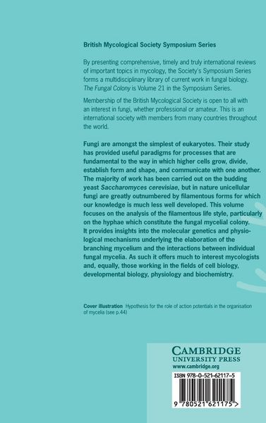 Produktbild: The Fungal Colony