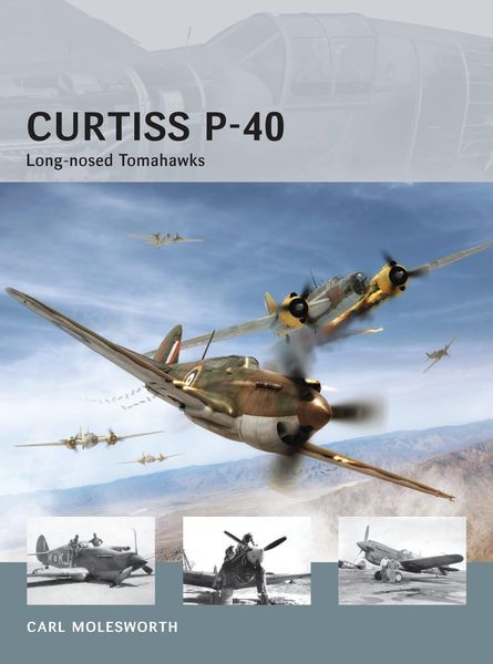 Produktbild: Curtiss P-40