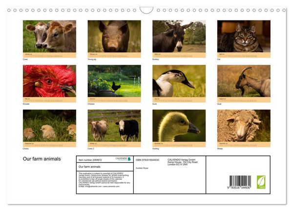 Produktbild: Our farm animals (Wall Calendar 2026 DIN A3 landscape), CALVENDO 12 Month Wall Calendar