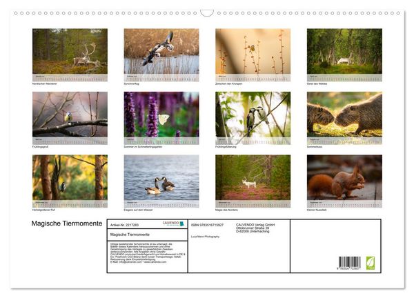Produktbild: Magische Tiermomente (Wandkalender 2026 DIN A2 quer), CALVENDO Monatskalender