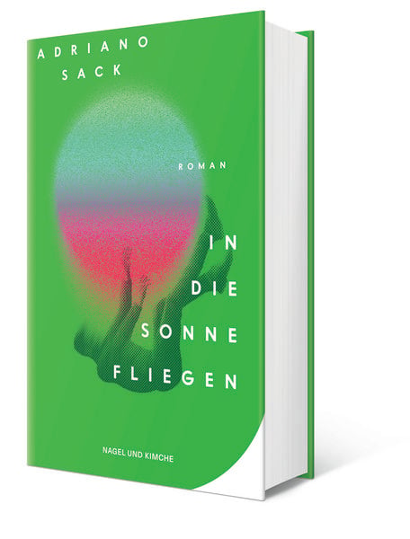 Produktbild: In die Sonne fliegen