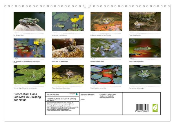 Produktbild: Frosch Karl, Hans und Max im Einklang der Natur (Wandkalender 2026 DIN A3 quer), CALVENDO Monatskalender
