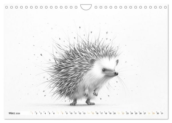 Produktbild: Tierisches Tohuwabohu (Wandkalender 2026 DIN A4 quer), CALVENDO Monatskalender