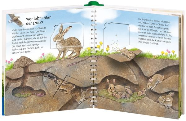Produktbild: Wo die Tiere wohnen / Wieso? Weshalb? Warum? Junior Bd. 46