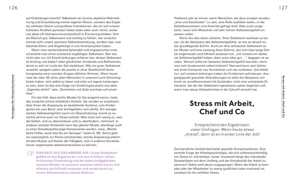 Produktbild: Stress positiv nutzen