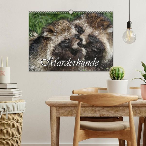 Produktbild: Marderhunde (Wandkalender 2026 DIN A3 quer), CALVENDO Monatskalender