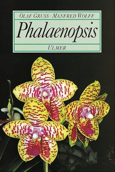 Phalaenopsis, Gebundene Ausgabe von Olaf Gruss , Manfred Wolff, Verlag Eugen Ulmer, 9783800165513