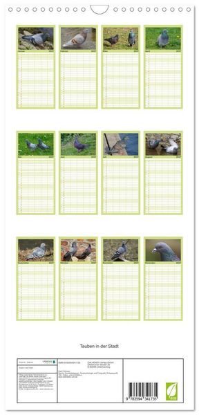 Produktbild: Familienplaner 2027 - Tauben in der Stadt mit 5 Spalten (Wandkalender, 21 x 45 cm) CALVENDO