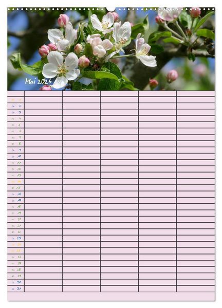 Produktbild: Kleine Natursch&ouml;nheiten (hochwertiger Premium Wandkalender 2026 DIN A2 hoch), Kunstdruck in Hochglanz