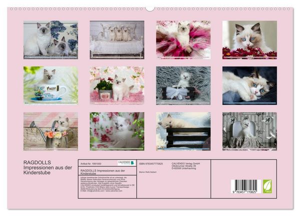Produktbild: RAGDOLLS Impressionen aus der Kinderstube (hochwertiger Premium Wandkalender 2026 DIN A2 quer), Kunstdruck in Hochglanz