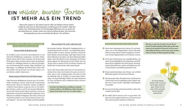 Produktbild: Mein wilder, bunter Garten &ndash;&nbsp;Einfach naturnah g&auml;rtnern