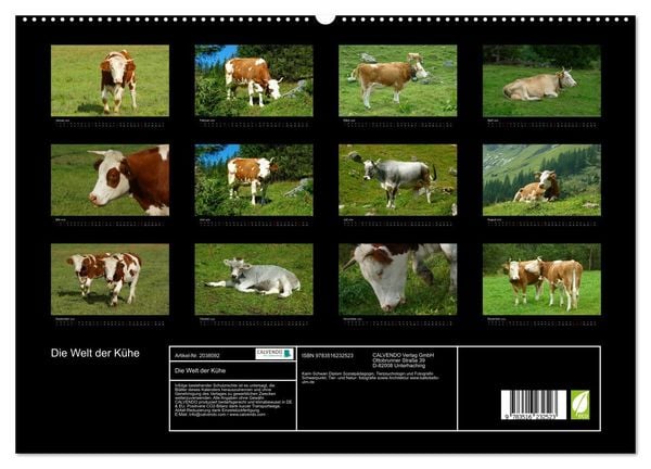 Produktbild: Die Welt der K&uuml;he (hochwertiger Premium Wandkalender 2026 DIN A2 quer), Kunstdruck in Hochglanz