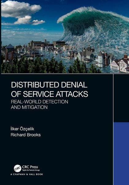 Produktbild: Distributed Denial of Service Attacks