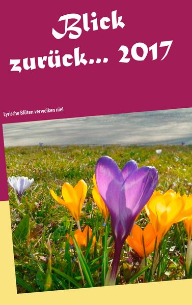 Blick zurück ... 2017, Taschenbuch von , BoD – Books on Demand, 9783746069036