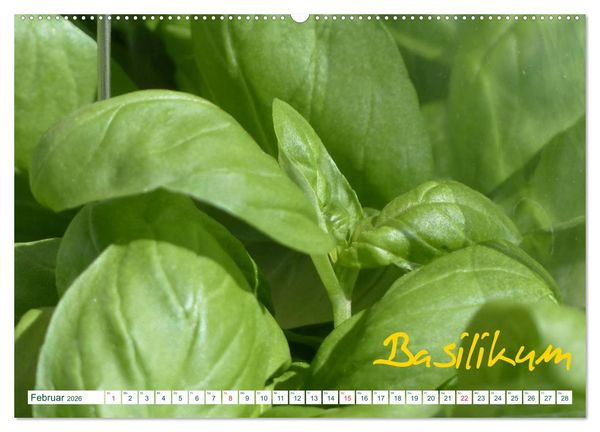 Produktbild: Kr&auml;uter - Gesund, h&uuml;bsch und lecker (hochwertiger Premium Wandkalender 2026 DIN A2 quer), Kunstdruck in Hochglanz