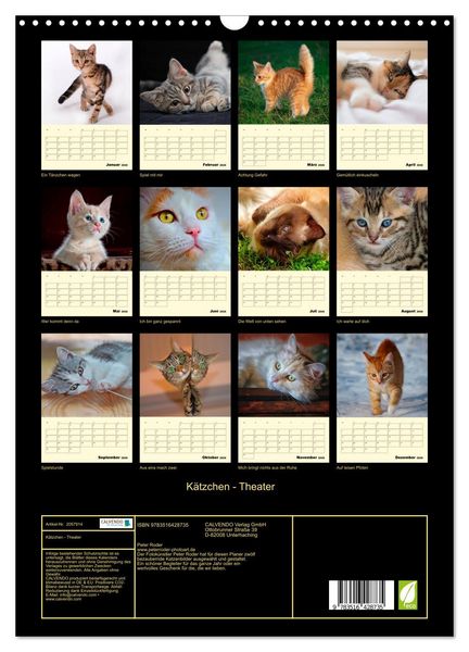 Produktbild: K&auml;tzchen - Theater (Wandkalender 2026 DIN A3 hoch), CALVENDO Monatskalender