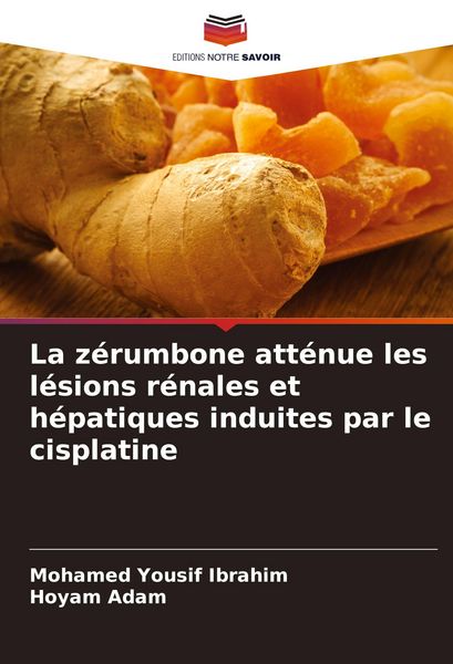 Produktbild: La z&eacute;rumbone att&eacute;nue les l&eacute;sions r&eacute;nales et h&eacute;patiques induites par le cisplatine