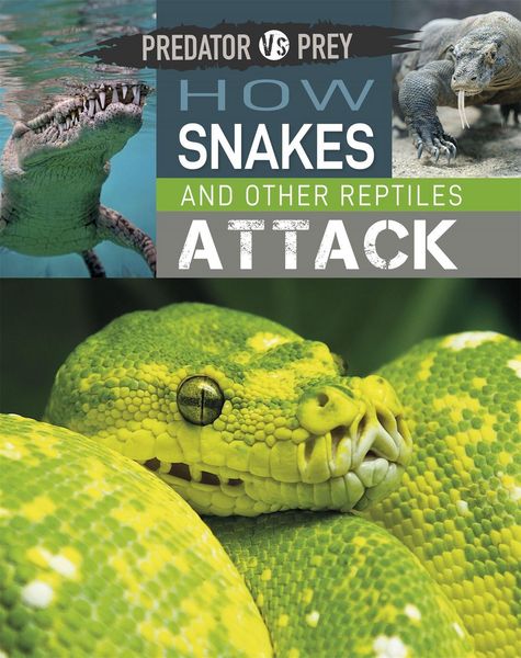 Produktbild: Predator vs Prey: How Snakes and other Reptiles Attack