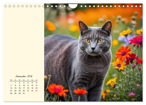 Produktbild: Samtpfoten im Bl&uuml;tenmeer (Wandkalender 2026 DIN A4 quer), CALVENDO Monatskalender