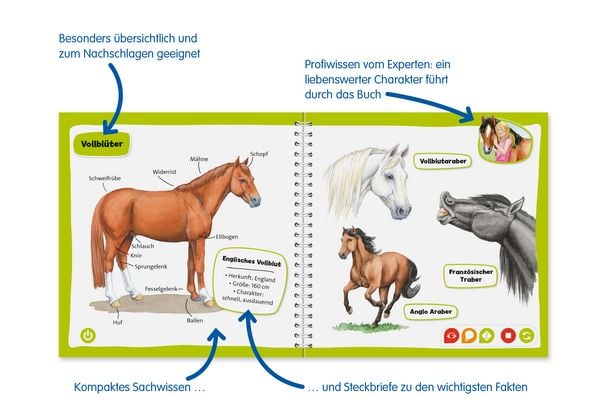 Produktbild: tiptoi&reg; Pferde und Ponys