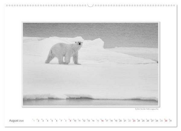 Produktbild: Spitzbergen Svalbard (Wandkalender 2026 DIN A2 quer), CALVENDO Monatskalender