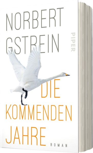 Produktbild: Die kommenden Jahre