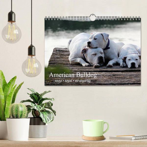 Produktbild: American Bulldog - stolz, loyal, einzigartig (Wandkalender 2026 DIN A4 quer), CALVENDO Monatskalender