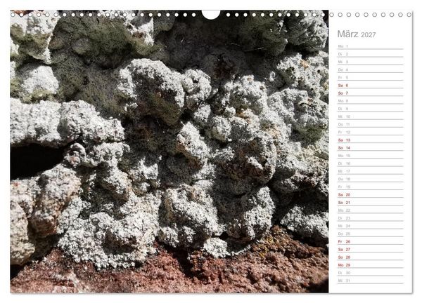Produktbild: Abstrakte Umwelt (Wandkalender 2027 DIN A3 quer), CALVENDO Monatskalender