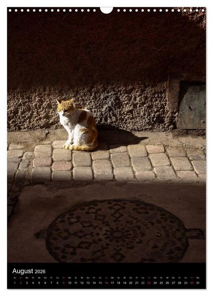 Produktbild: Katzen in Marokko (Wandkalender 2026 DIN A3 hoch), CALVENDO Monatskalender