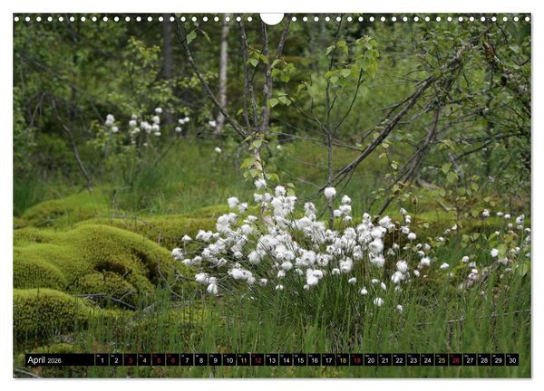 Produktbild: 2026 Schweden ein Traum (Wandkalender 2026 DIN A3 quer), CALVENDO Monatskalender