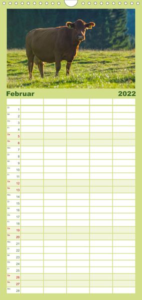 Produktbild: Ein Herz f&uuml;r Rinder - Familienplaner hoch (Wandkalender 2022 , 21 cm x 45 cm, hoch)