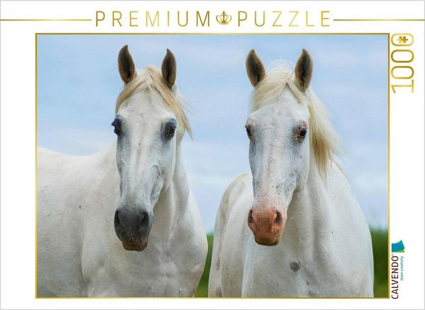 Produktbild: CALVENDO Puzzle Stutenportr&auml;t | 1000 Teile Lege-Gr&ouml;&szlig;e 64x48cm Foto-Puzzle f&uuml;r gl&uuml;ckliche Stunden