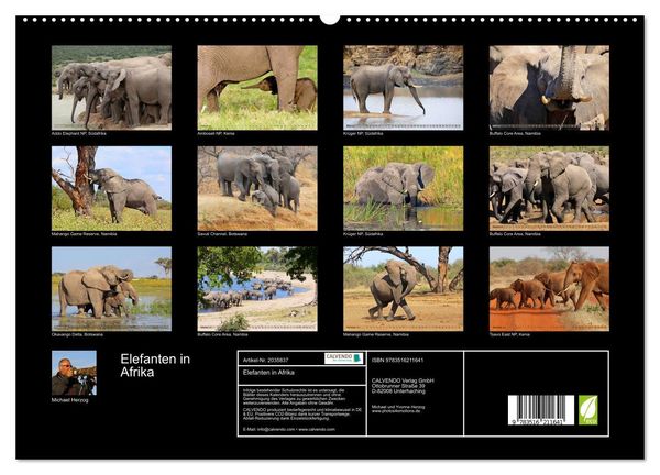 Produktbild: Elefanten in Afrika (hochwertiger Premium Wandkalender 2026 DIN A2 quer), Kunstdruck in Hochglanz