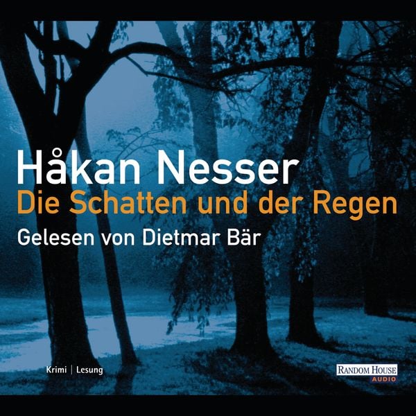 Produktbild: Die Schatten und der Regen
